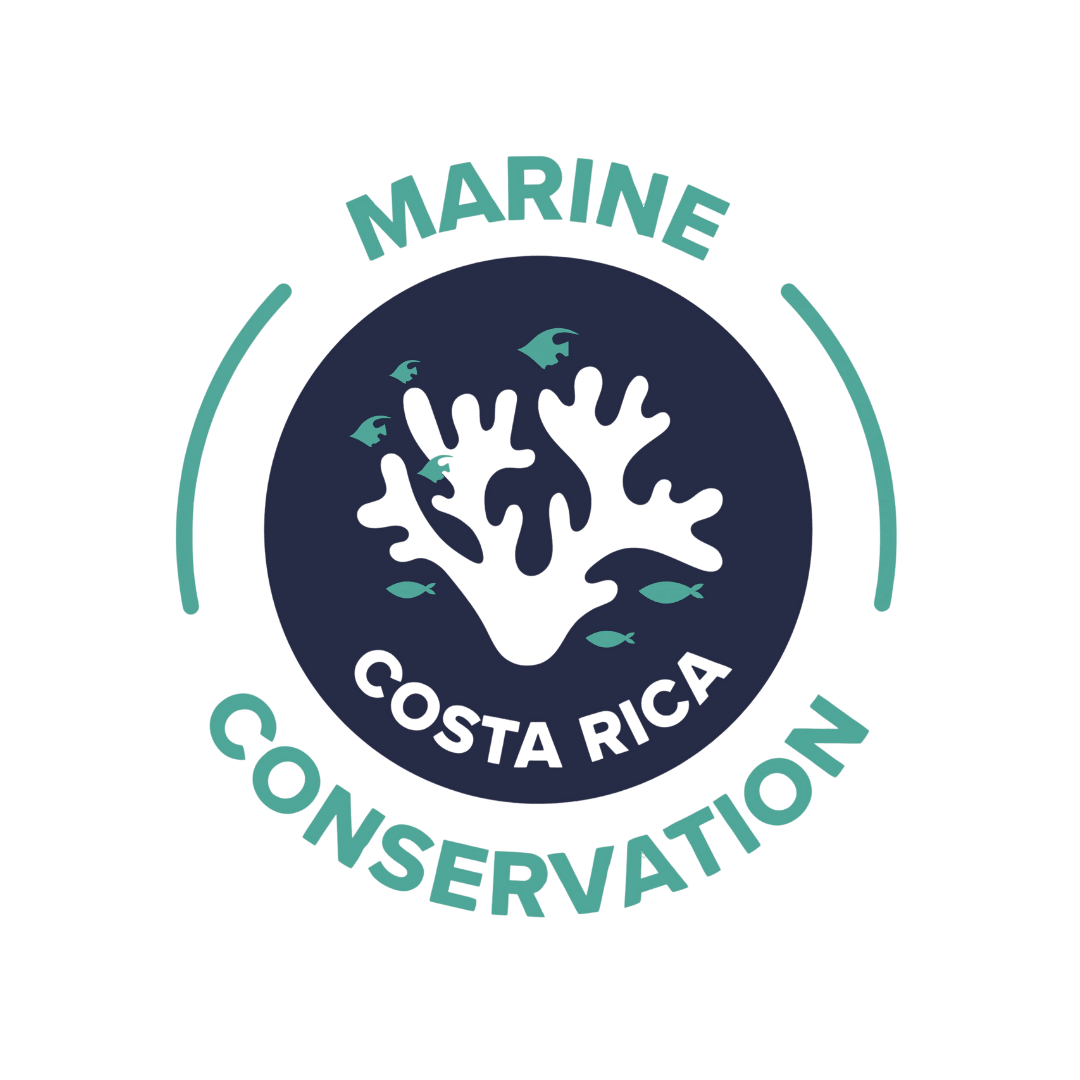 Marine Conservation Costa Rica – Hotel Colina Secreta Glamping & Villas – Puerto Viejo, Costa Rica