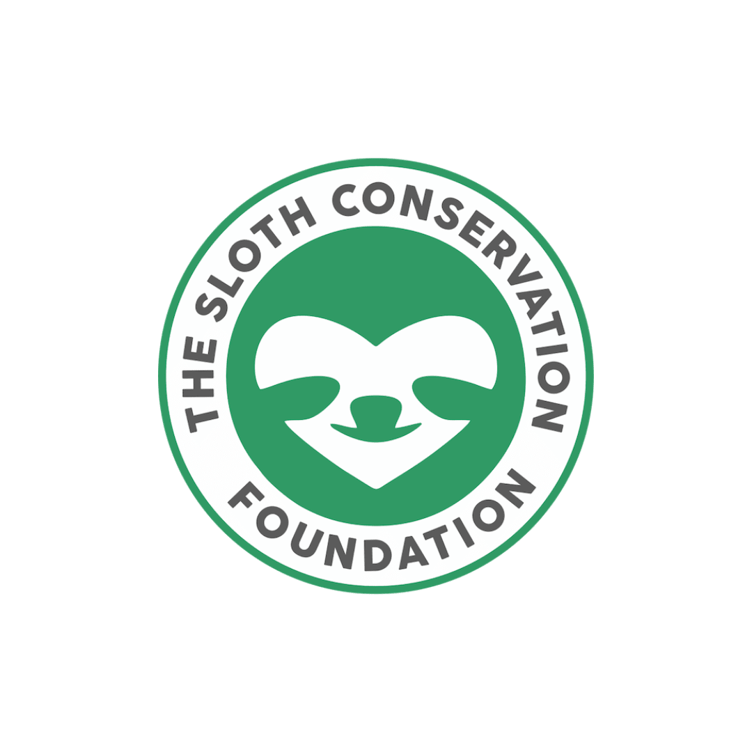 Sloth Conservation Foundation – Hotel Colina Secreta Glamping & Villas – Puerto Viejo, Costa Rica